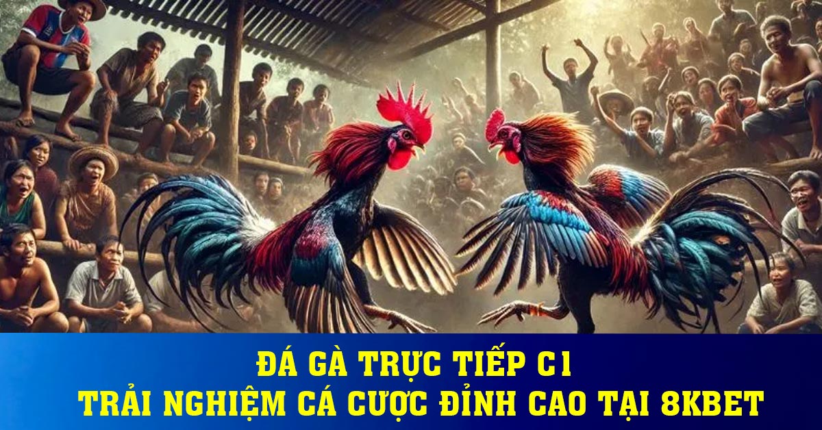 Đá gà trực tiếp C1 - Trải Nghiệm Cá Cược Đỉnh Cao Tại 8Kbet
