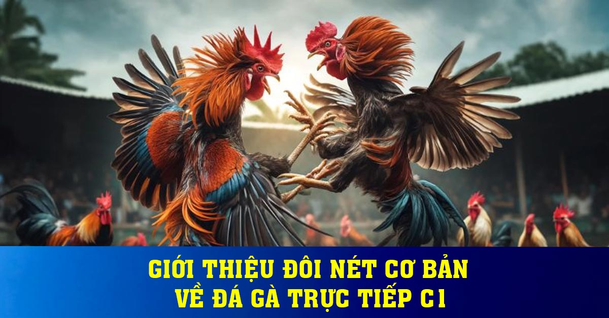 Giới Thiệu Đôi Nét Cơ Bản Về Đá Gà Trực Tiếp C1