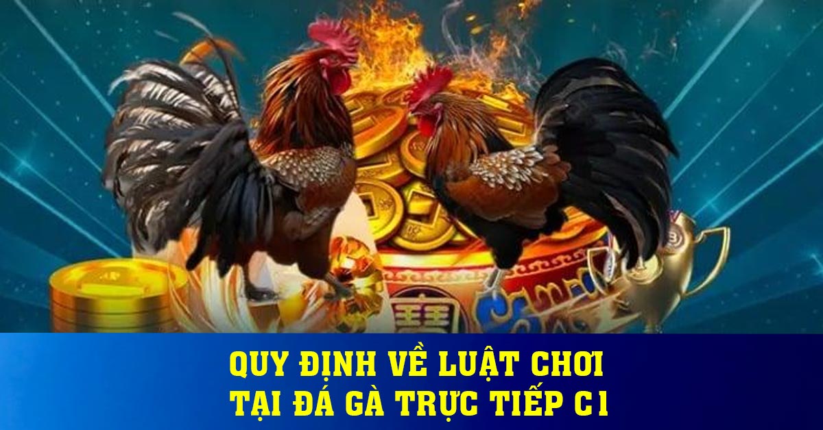 Quy định về luật chơi tại Đá gà trực tiếp C1